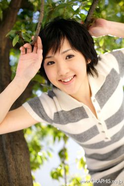 飙速宅男第二季